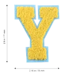 Y