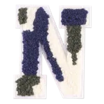 N