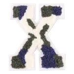 X