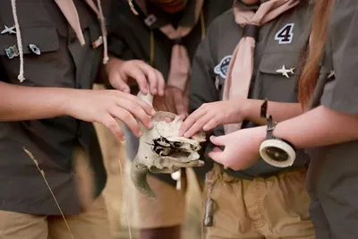 How To Sew On Boy Scout Patches How To Sew On Boy Scout Patches