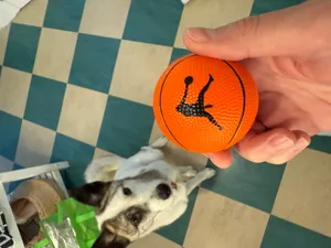 CustomPatchFactory.Com