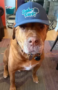 CustomPatchFactory.Com - Full Color TPU