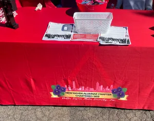 CustomPatchFactory.Com