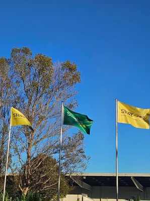 Rectangle Flag - Displaying our company branding outside our building