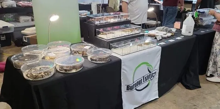 CustomPatchFactory.Com