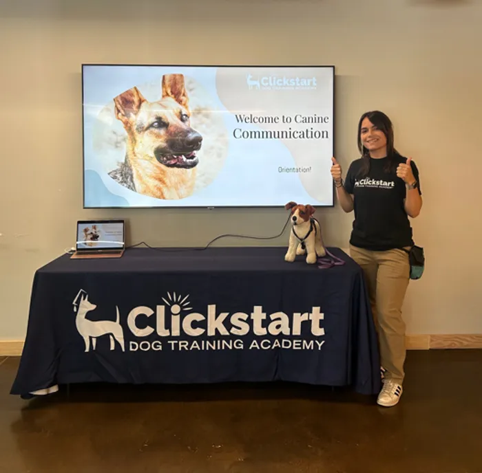 CustomPatchFactory.Com