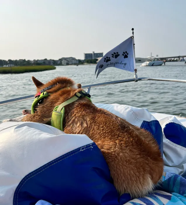 CustomPatchFactory.Com