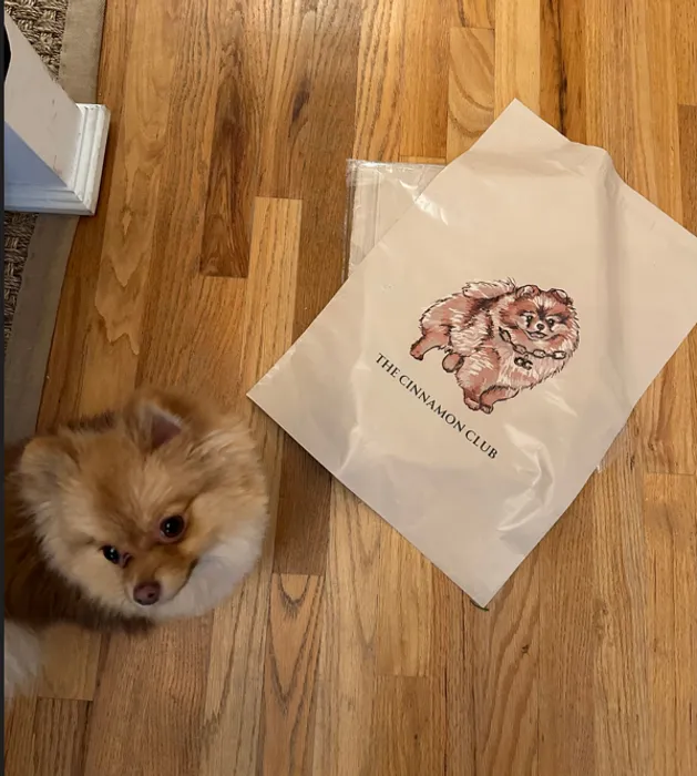 CustomPatchFactory.Com - Custom Poly Mailer