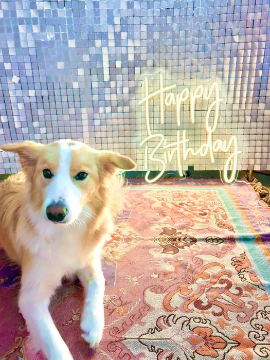 CustomPatchFactory.Com - Custom Neon Sign