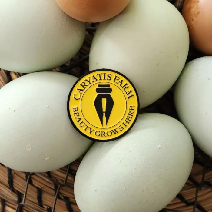 CustomPatchFactory.Com - Soft Enamel Pin