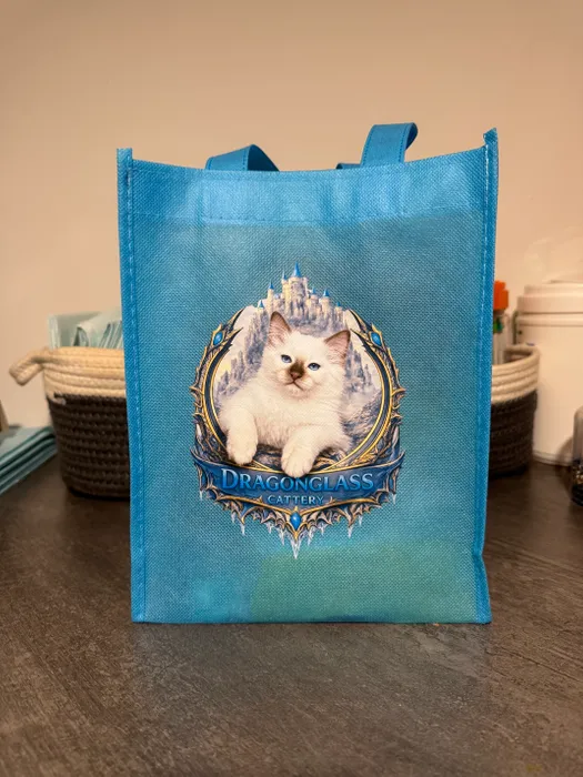 CustomPatchFactory.Com - Custom Small Gift Tote Bag