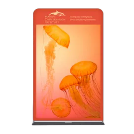 EZ Extend Displays - Custom Patch Factory