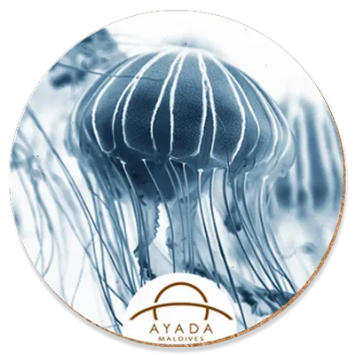 Round - Custom Patch Factory