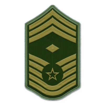 Air Force ABU Military Patch