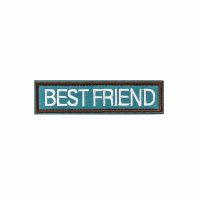 Blue and Brown Best Friend Patch
