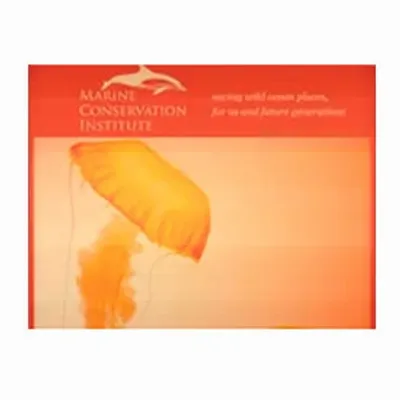 None None - Custom Patch Factory