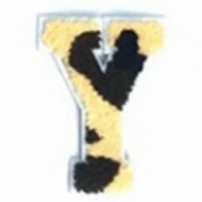 Y Y