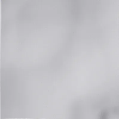 White White