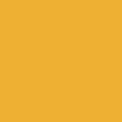 Orange - Custom Patch Factory