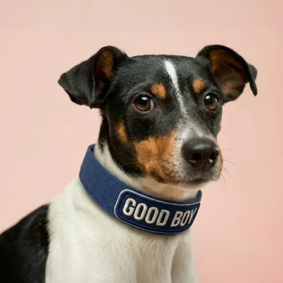 Pet Harness - Custom Patch Factory