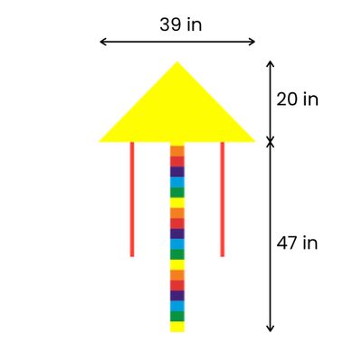 20in L x 39in W (47in Tail Length)