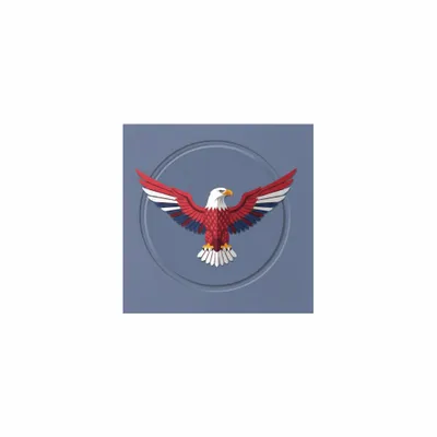 5 in x 5 in - Custom Patch Factory