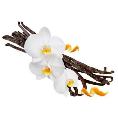 Vanilla - Custom Patch Factory