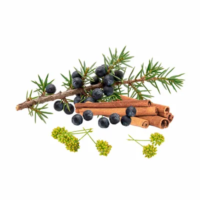 Juniper Berry - Custom Patch Factory