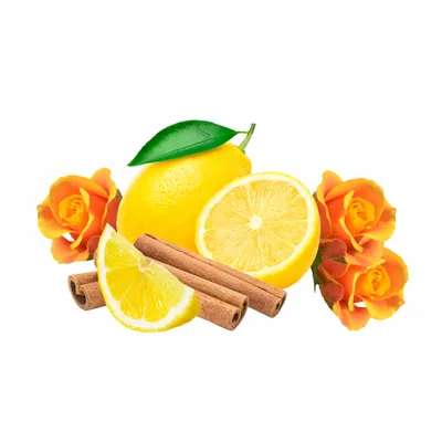 Amber - Custom Patch Factory