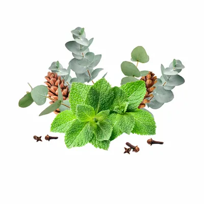 Eucalyptus & Mint - Custom Patch Factory