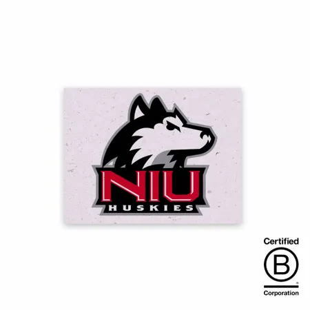 Seed Paper Panel Cards - Custom Patch Factory