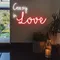 Crazy In Love Neon Sign - Custom Patch Factory