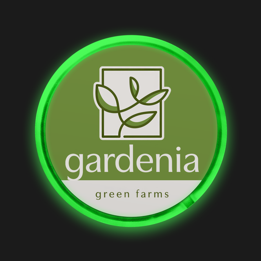 Light Button Pins - Custom Patch Factory