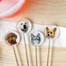 Transparent Stir Sticks