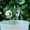 Transparent Stir Sticks